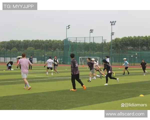 上海飞盘队在全国配合排名中创下历史新高展现团队实力与竞技水平