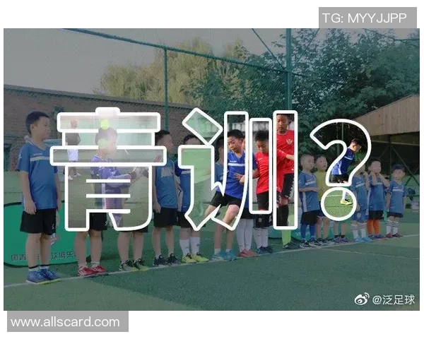 武汉足球队的崛起之路:探索他们背后的力量与激情 武汉足球队的崛起之路:探索他们背后的力量与激情