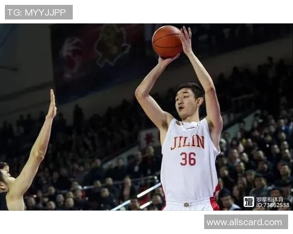 代怀博的成长之路与未来发展潜力探讨 代怀博的成长之路与未来发展潜力探讨